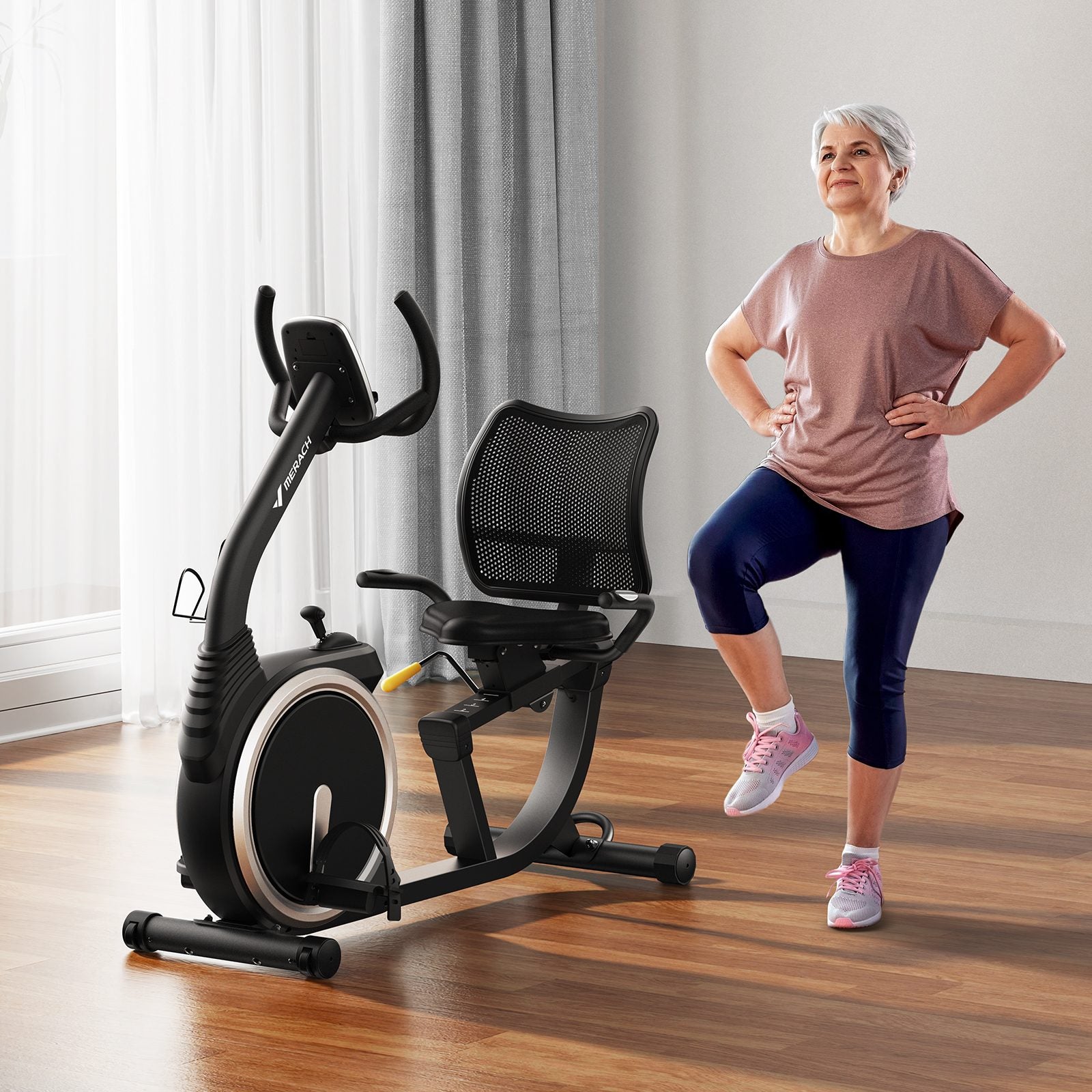 S19 Recumbent Exercise Bike for Home
