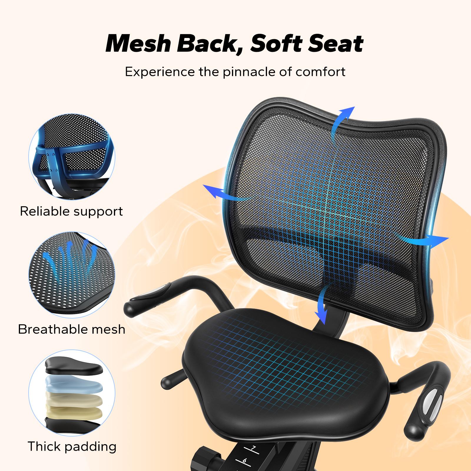 S19 Recumbent Exercise Bike for Home